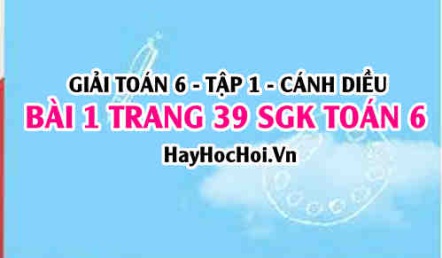 Giải bài 1 trang 39 Toán 6 Tập 1 SGK Cánh Diều